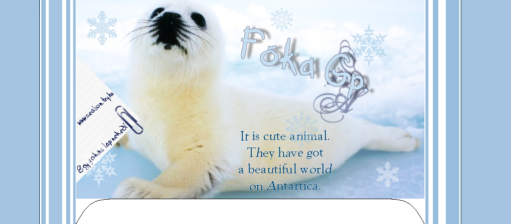 F  k a  g p . ● It is cute animal...